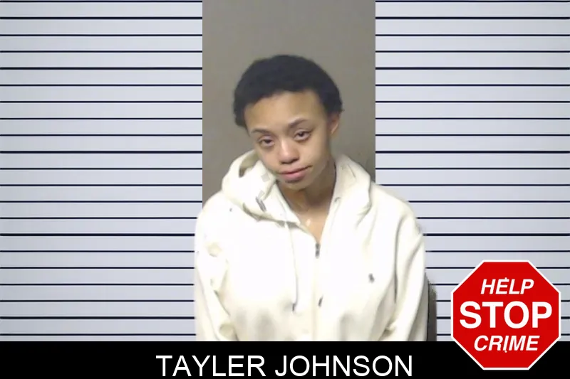 Tayler Johnson mugshot