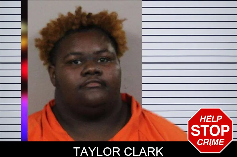 Taylor Clark mugshot