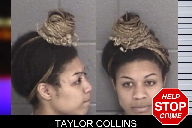 Taylor Collins mugshot