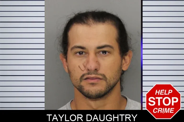Taylor Daughtry