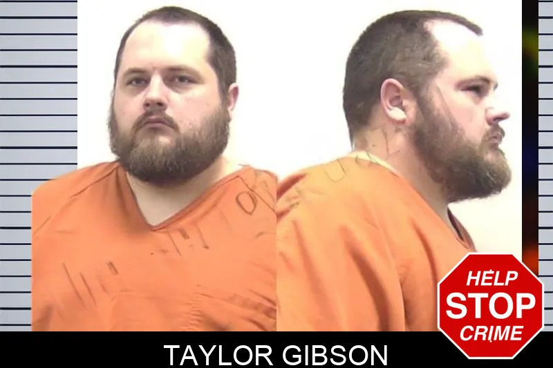 Taylor Gibson mugshot