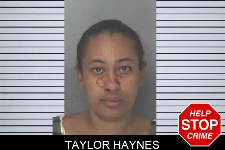 Taylor Haynes
