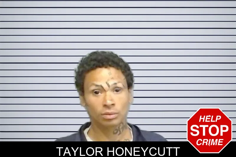 Taylor Honeycutt mugshot