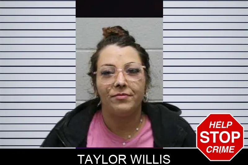 Taylor Willis mugshot