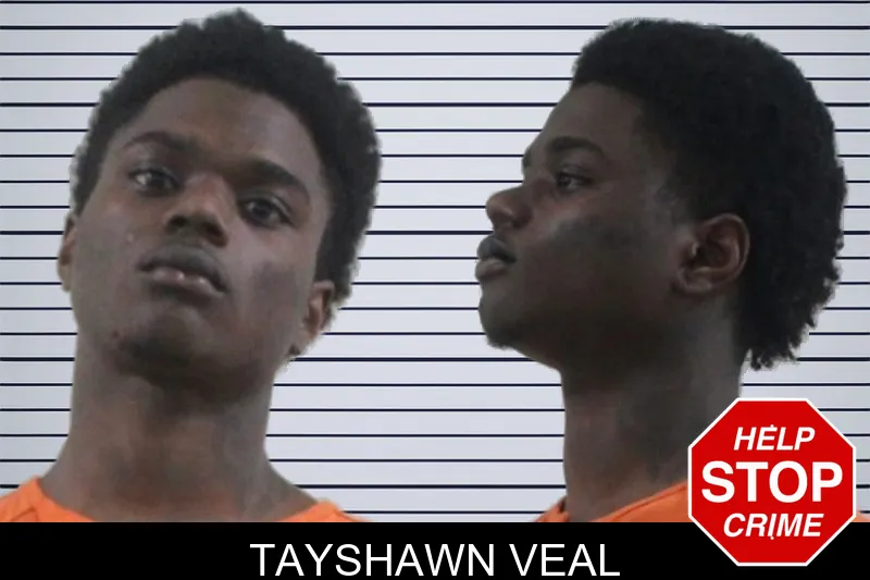 Tayshawn Veal mugshot