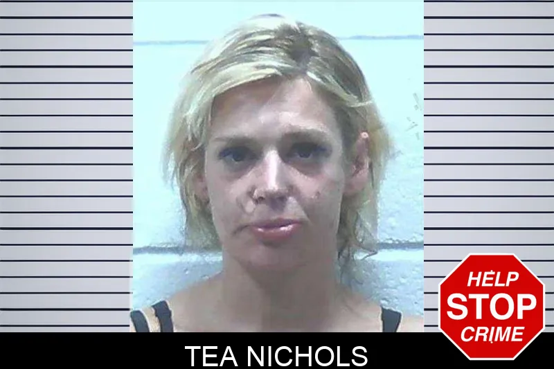 Tea Nichols mugshot – Jackson County , Georgia Tea Nichols mugshot