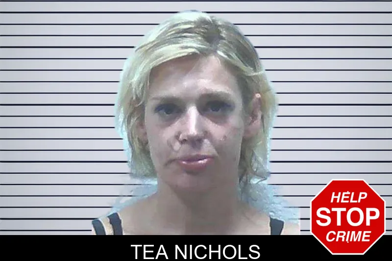 Tea Nichols mugshot – Jackson County , Georgia Tea Nichols mugshot