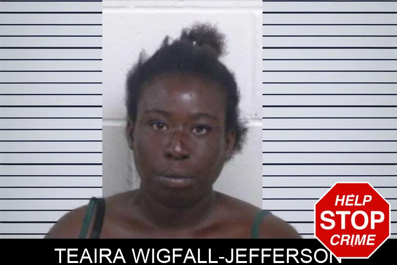 Teaira Wigfall-Jefferson mugshot – Washington County , Georgia Teaira Wigfall-Jefferson mugshot