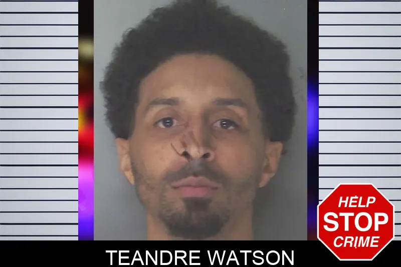 Teandre Watson mugshot