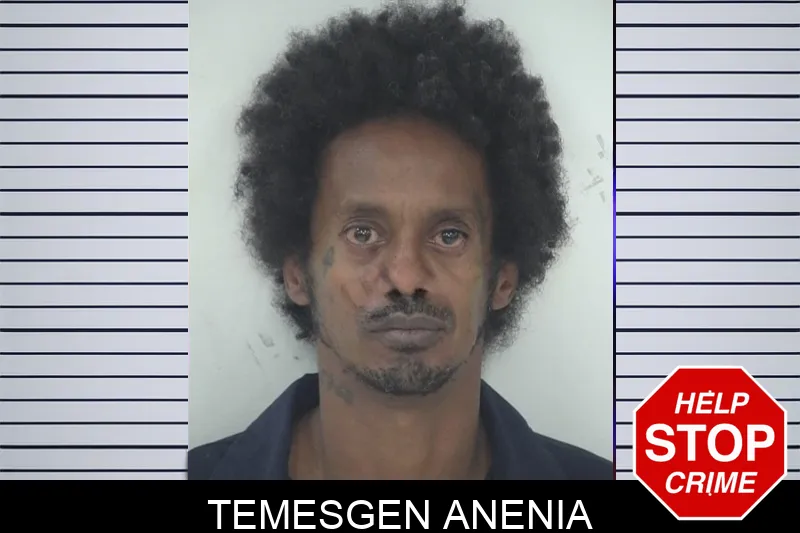 Temesgen Anenia mugshot – Fayette County , Georgia Temesgen Anenia mugshot