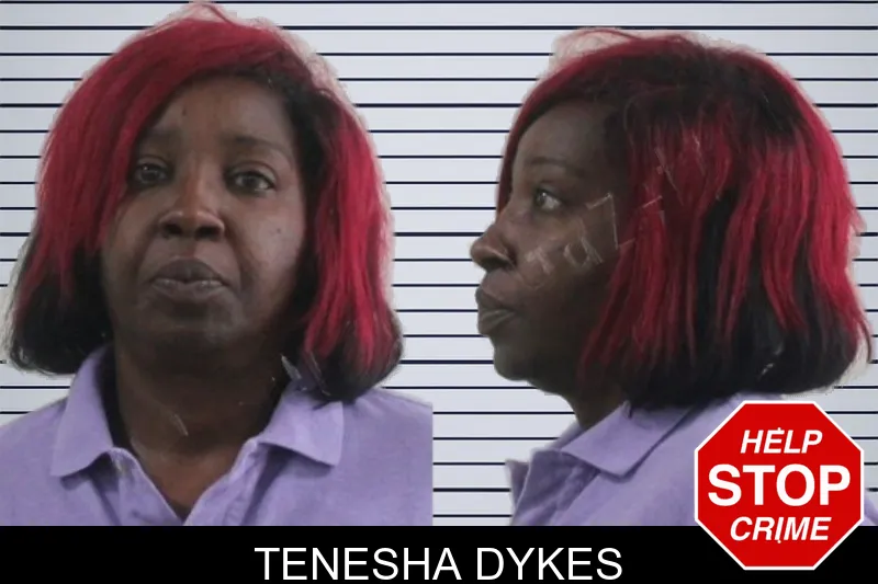 Tenesha Dykes mugshot