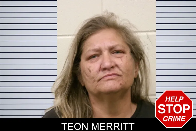 Teon Merritt mugshot