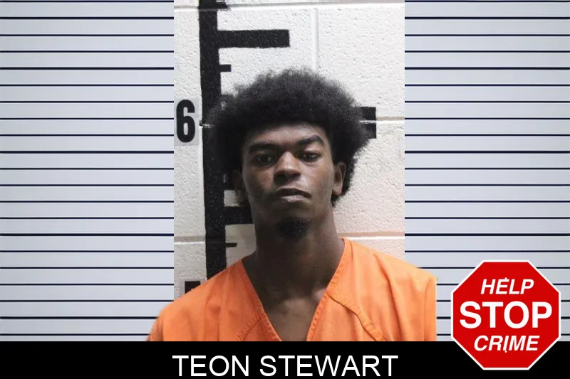 Teon Stewart mugshot – Murray County , Georgia Teon Stewart mugshot