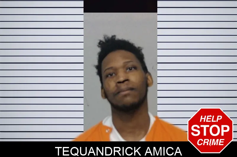 Tequandrick Amica mugshot