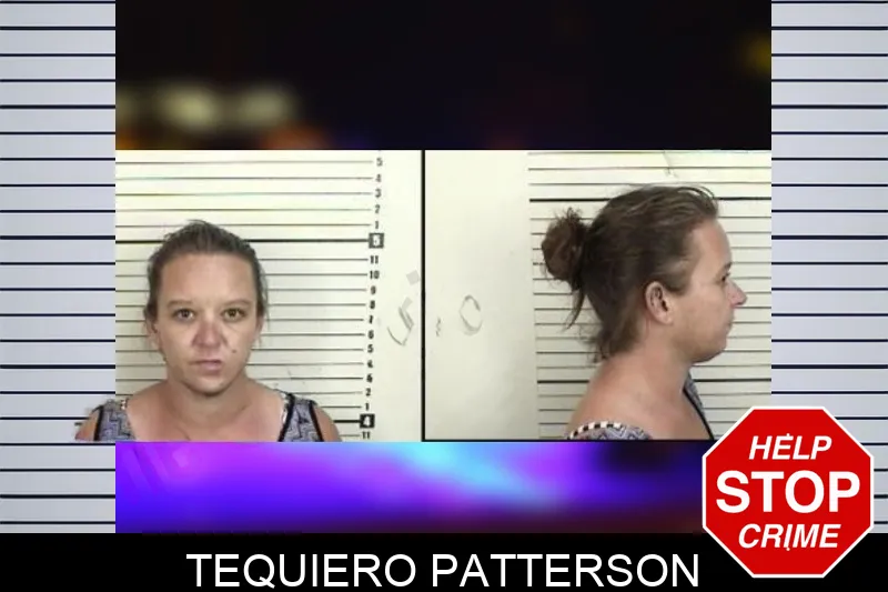 Tequiero Patterson mugshot