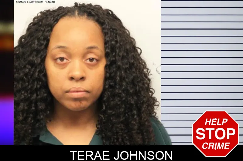 Terae Johnson mugshot