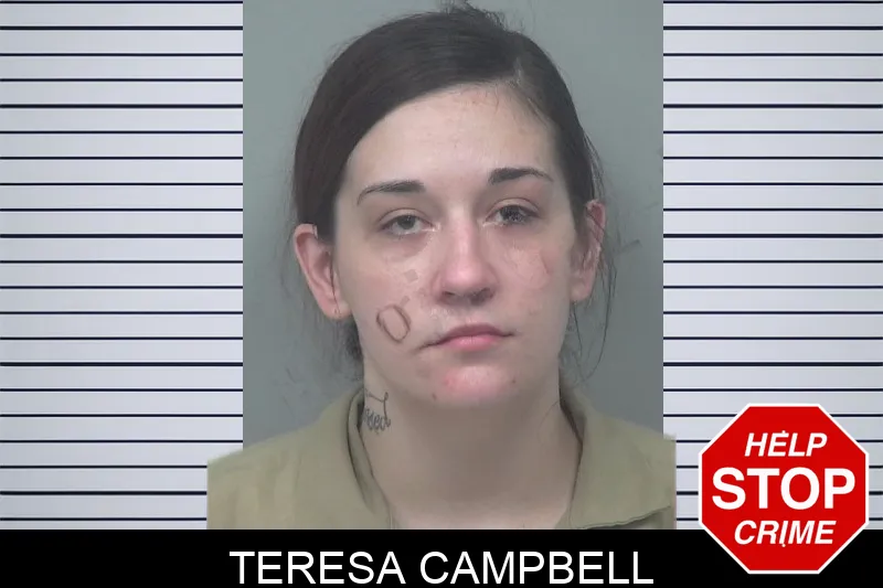 Teresa Campbell mugshot