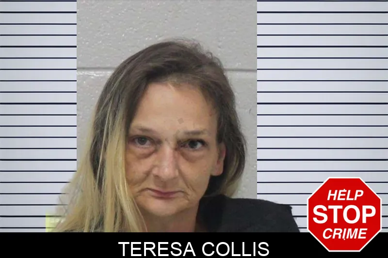Teresa Collis mugshot