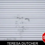 Teresa Dutcher mugshot – Tattnall County , Georgia Teresa Dutcher mugshot