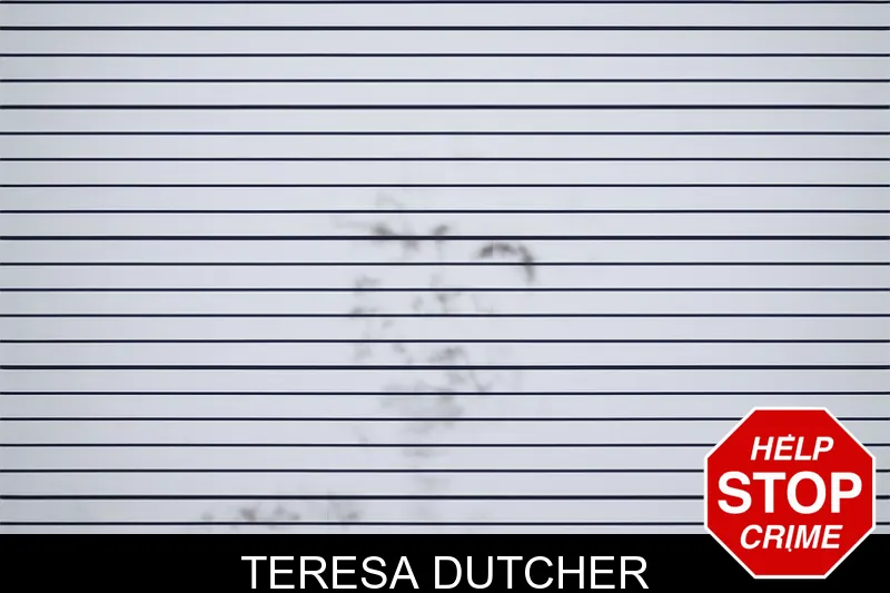 Teresa Dutcher mugshot – Tattnall County , Georgia Teresa Dutcher mugshot