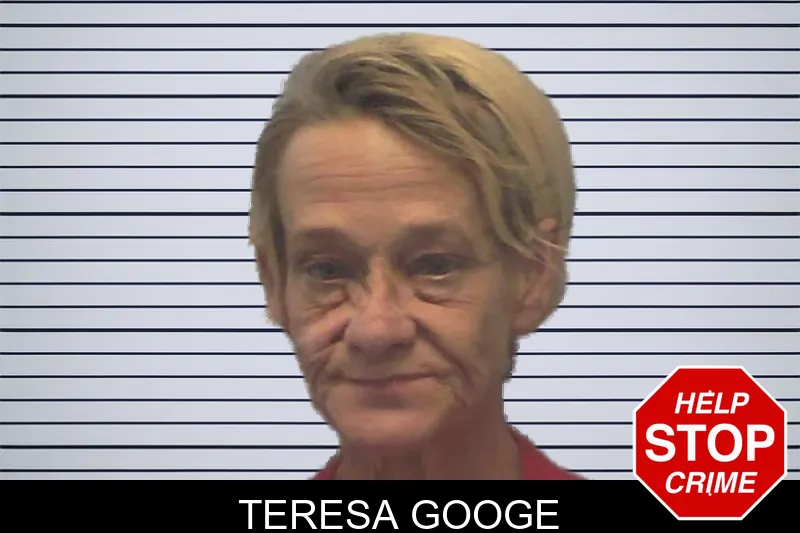 Teresa Googe mugshot