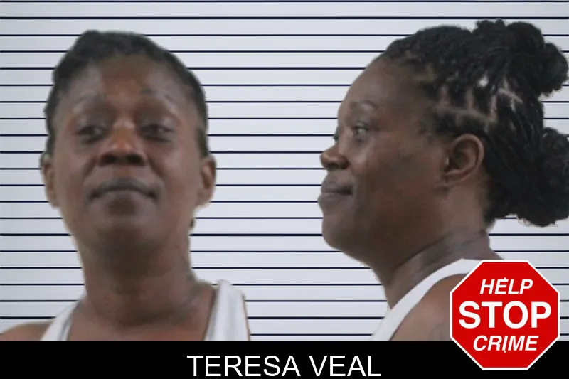 Teresa Veal mugshot