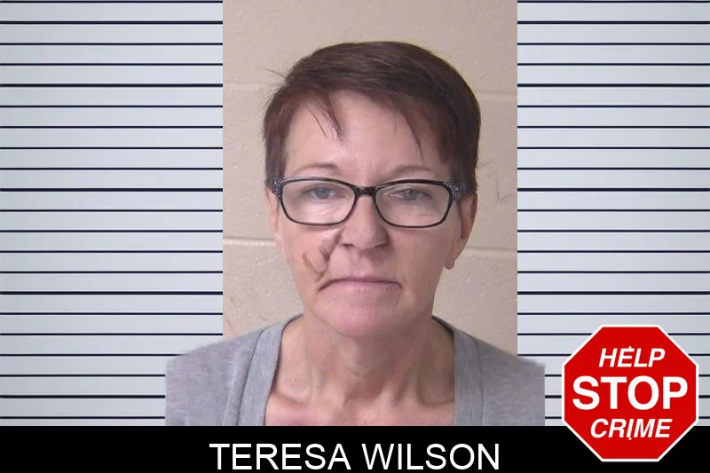 Teresa Wilson mugshot – Walker County , Georgia Teresa Wilson mugshot