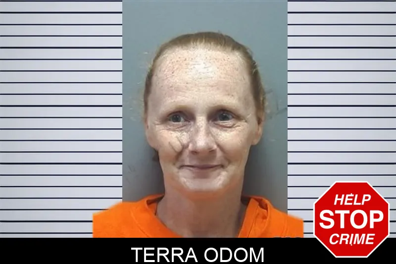 Terra Odom mugshot
