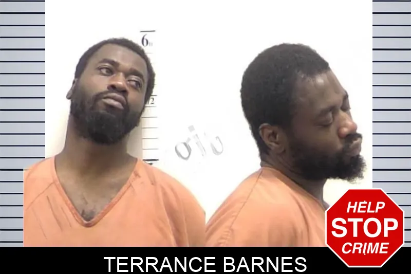 Terrance Barnes mugshot