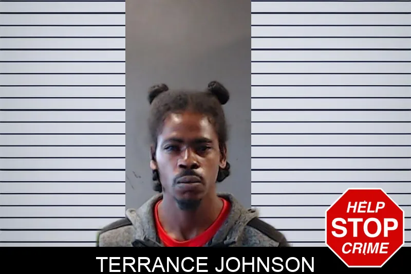Terrance Johnson mugshot