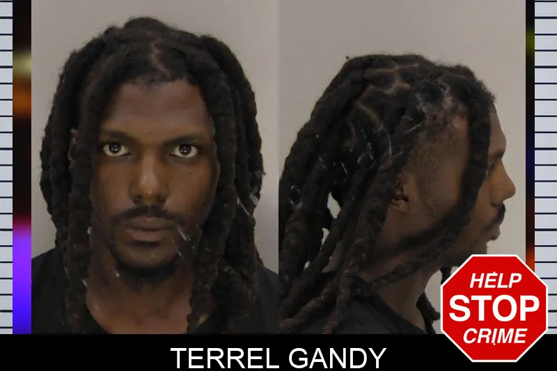Terrel Gandy mugshot