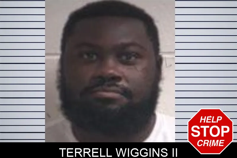 Terrell Wiggins II mugshot