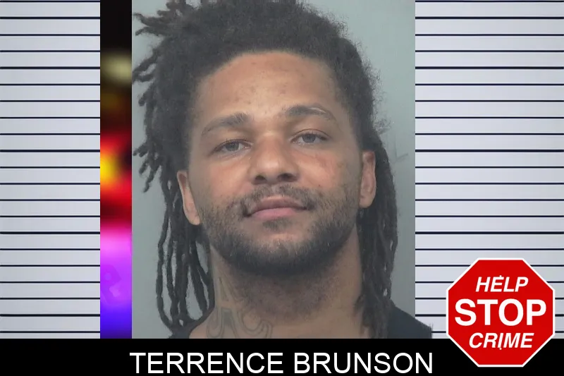 Terrence Brunson mugshot – Gwinnett County , Georgia Terrence Brunson mugshot