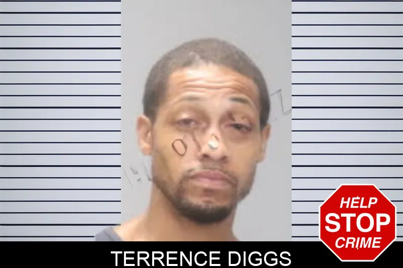 Terrence Diggs mugshot
