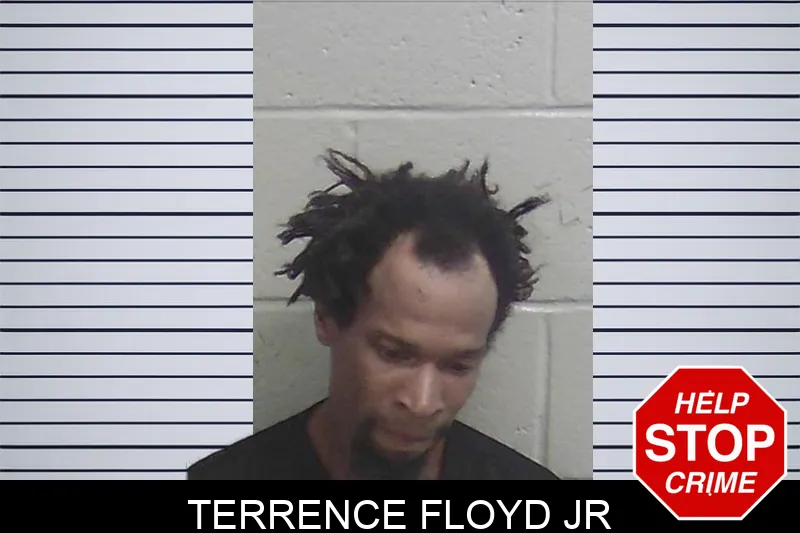 Terrence Floyd Jr mugshot