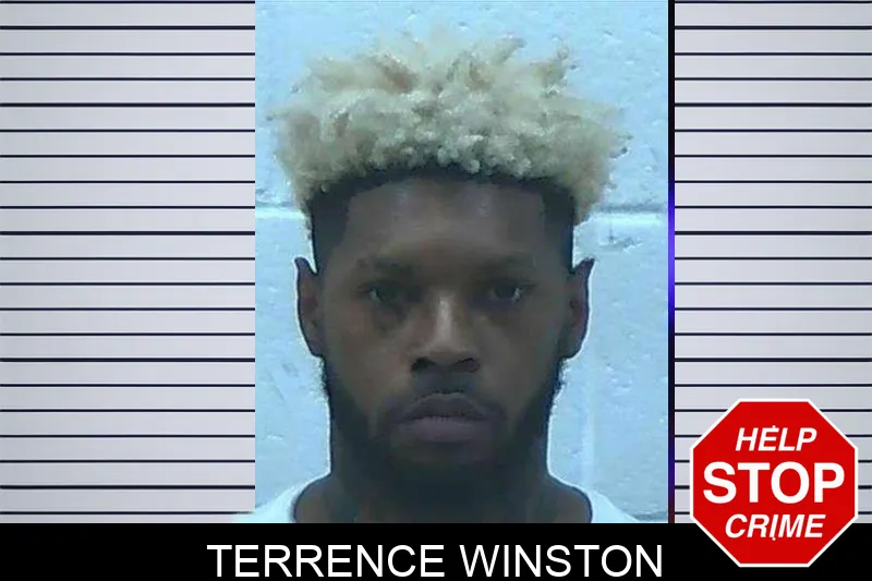 Terrence Winston mugshot