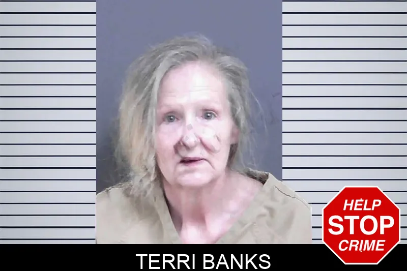 Terri Banks mugshot