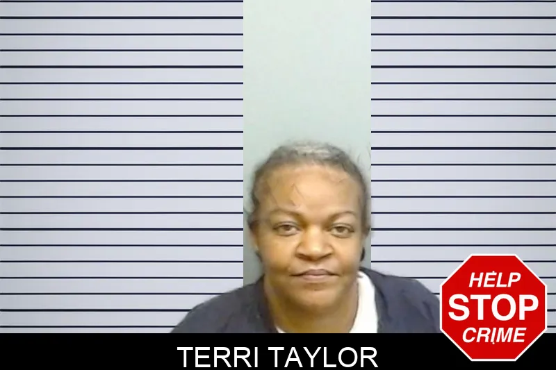 Terri Taylor mugshot
