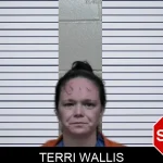 Terri Wallis mugshot – Ben Hill County , Georgia Terri Wallis mugshot