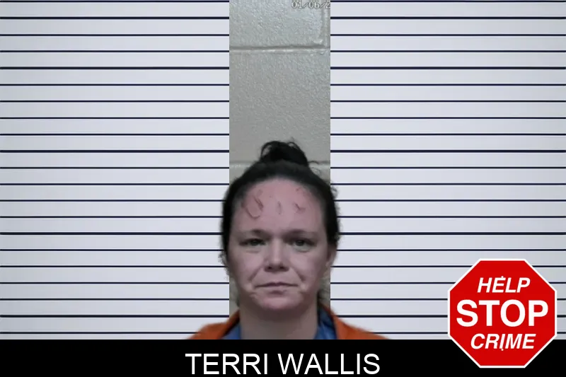 Terri Wallis mugshot – Ben Hill County , Georgia Terri Wallis mugshot