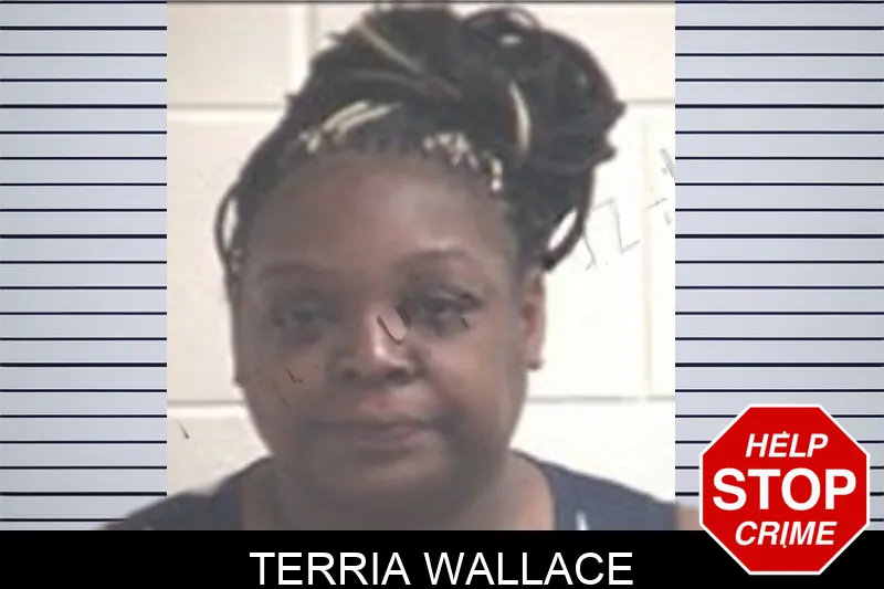 Terria Wallace mugshot