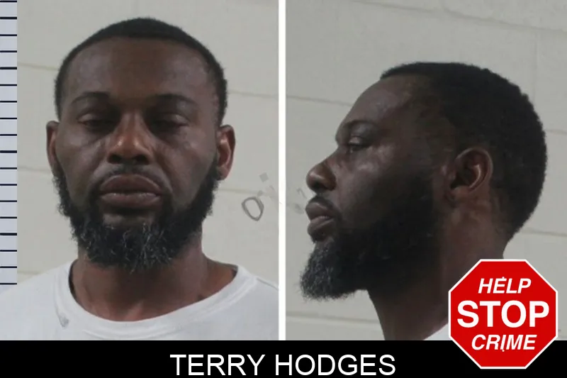Terry Hodges mugshot
