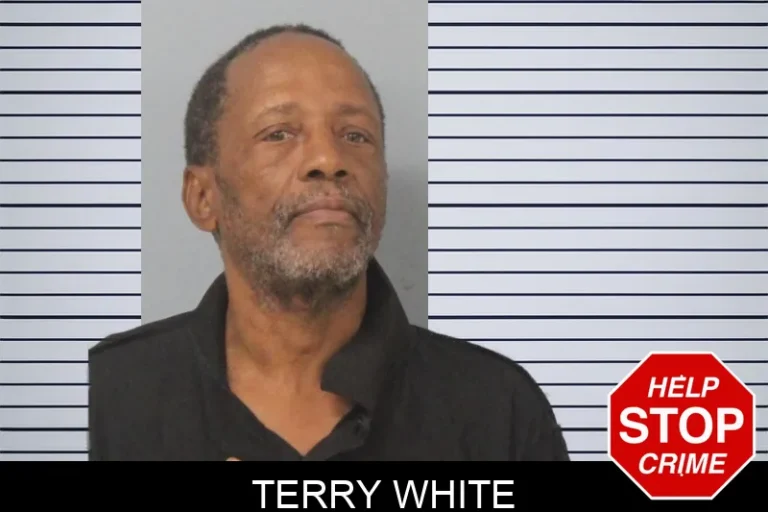 Terry White