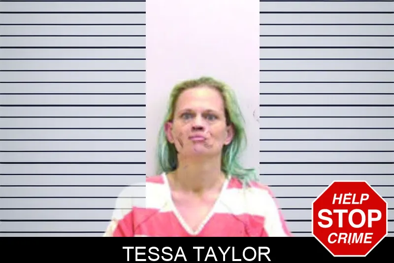 Tessa Taylor mugshot