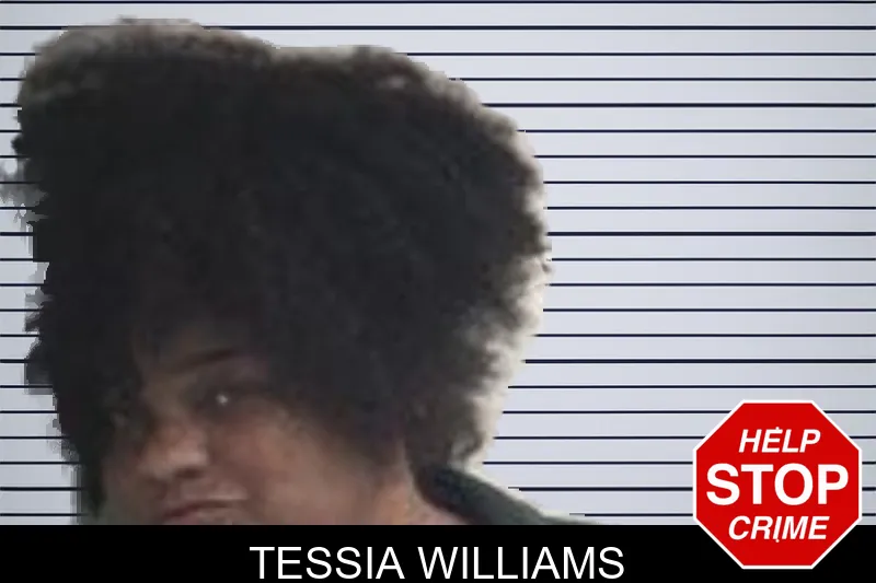 Tessia Williams mugshot