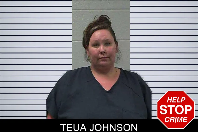 Teua Johnson mugshot