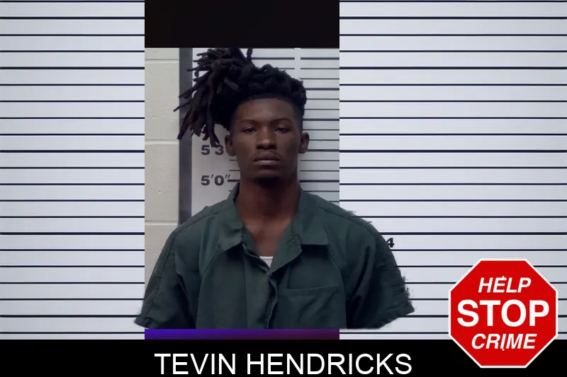Tevin Hendricks mugshot