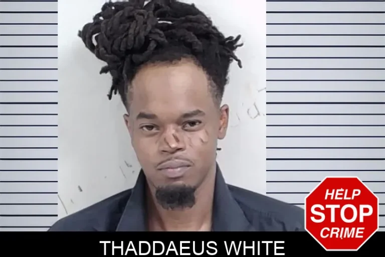 Thaddaeus White mugshot – Lowndes County , Georgia Thaddaeus White