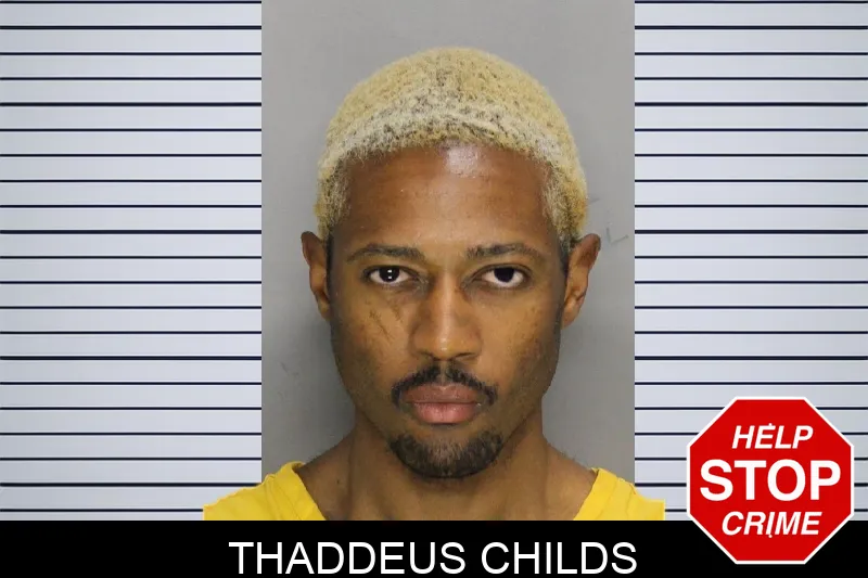 Thaddeus Childs mugshot