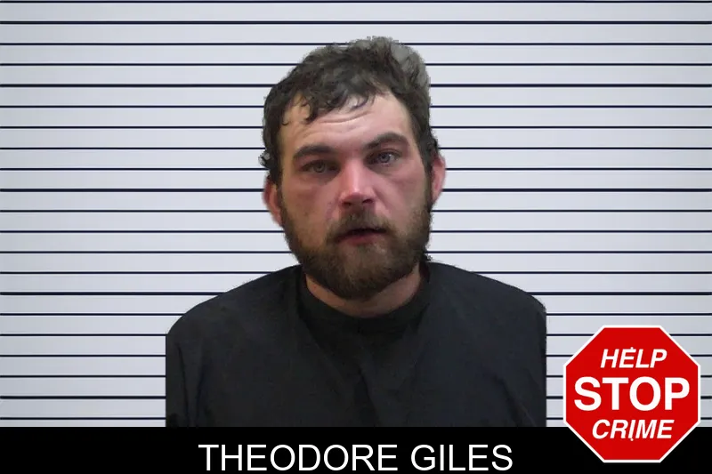 Theodore Giles mugshot